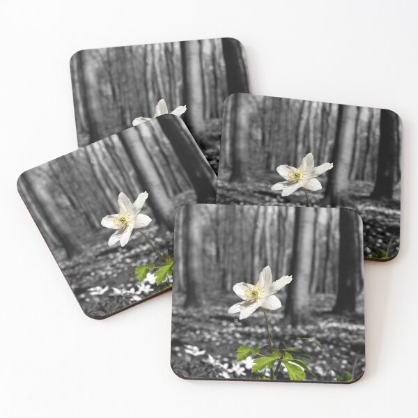 Item preview, Anemone in the forest designed and sold by Postertale.