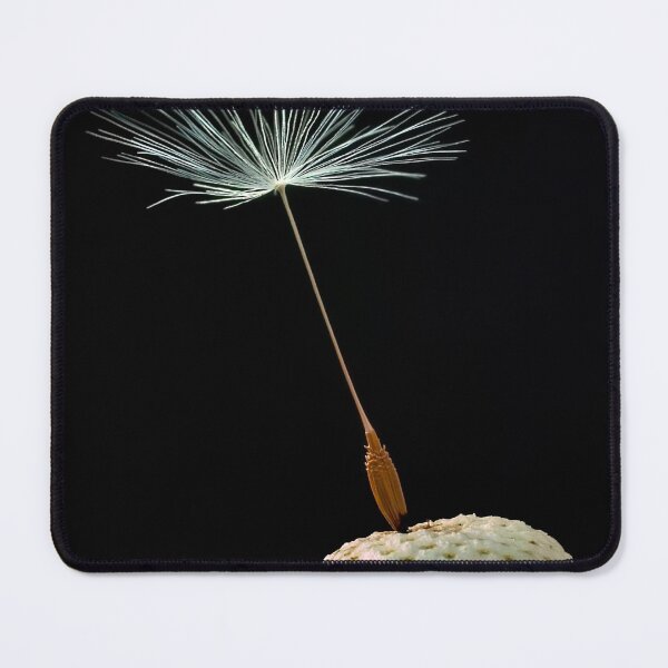 Item preview, Withered Dandelion designed and sold by Postertale.