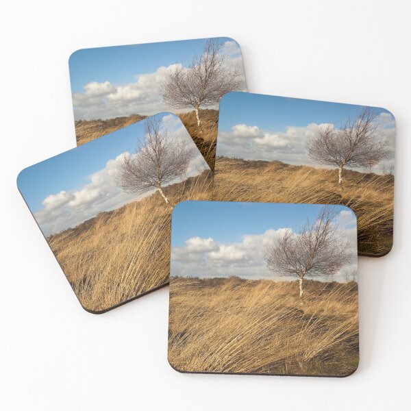Item preview, Late autumn landscape at a moor. designed and sold by Postertale.