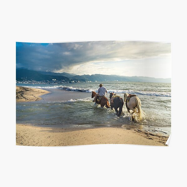 Horses in the Surf Poster