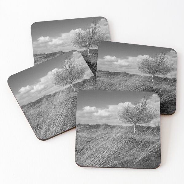 Item preview, Late autumn landscape at a moor in black and white. designed and sold by Postertale.