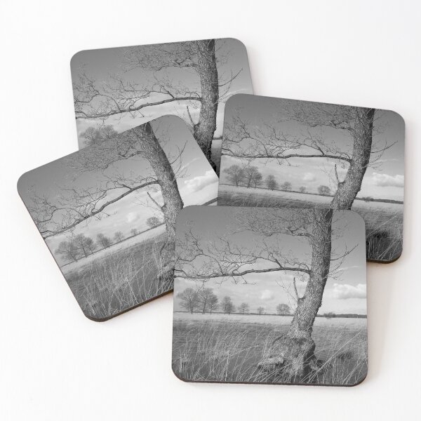 Item preview, Late autumn landscape at a moor in black and white. designed and sold by Postertale.