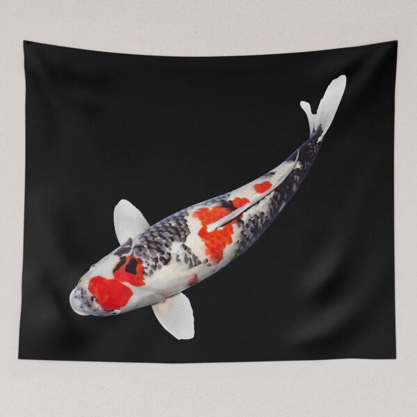Item preview, Koi Fish - For All Koi Fish Lovers designed and sold by AquariumExp.