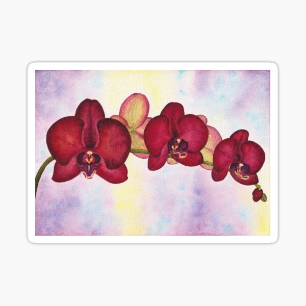 Cosmic Orchid original watercolor art Sticker