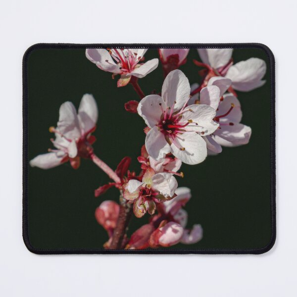 Spring Blossoms Mouse Pad