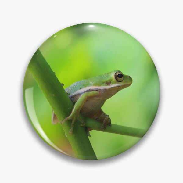 Item preview, Baby Tree Frog designed and sold by Lens2Canvas.