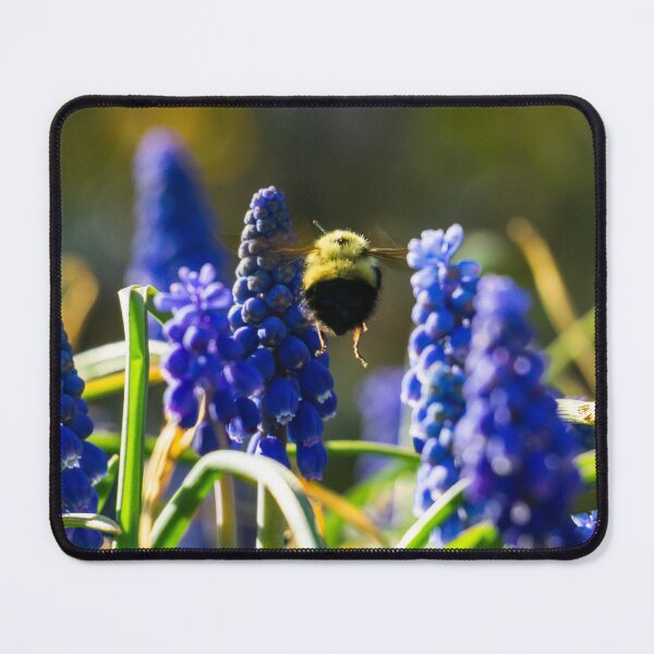 Passing Through Mouse Pad