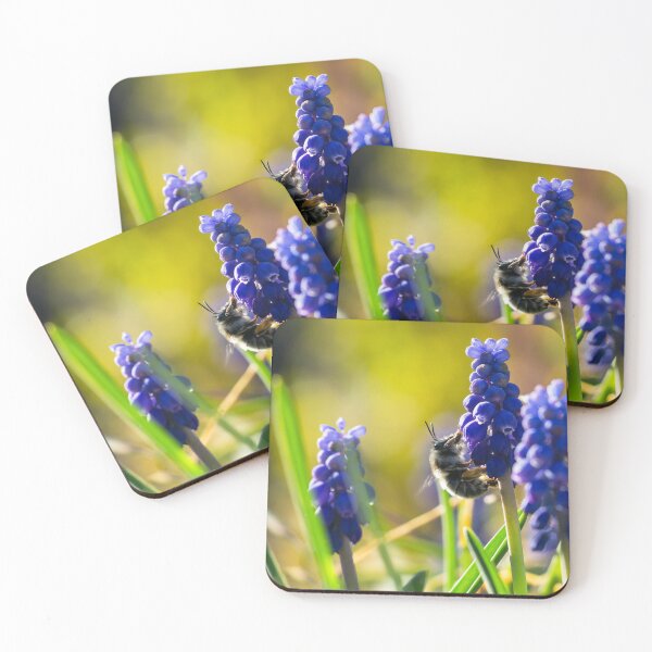 Item preview, Bee on Muscari designed and sold by Mullwell Photography.