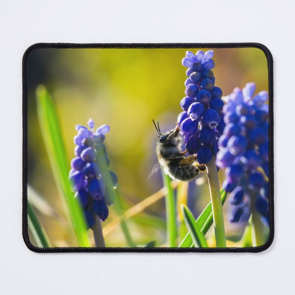 Item preview, Bee on Muscari designed and sold by Mullwell Photography.