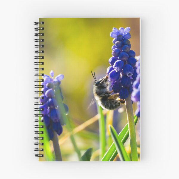 Item preview, Bee on Muscari designed and sold by Mullwell Photography.