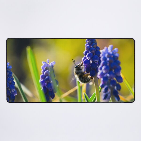Bee on Muscari Desk Mat