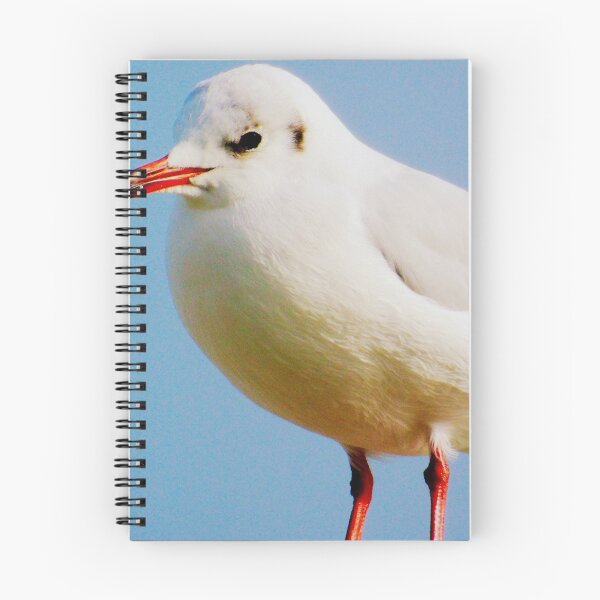 Item preview, The Seagull designed and sold by ART22.