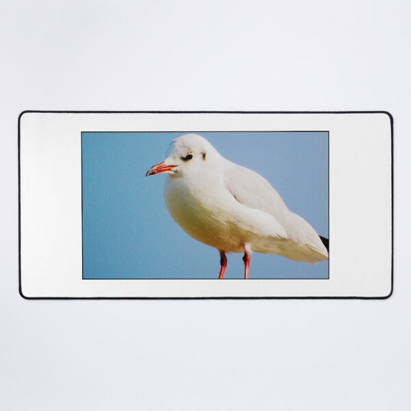 Item preview, The Seagull designed and sold by ART22.