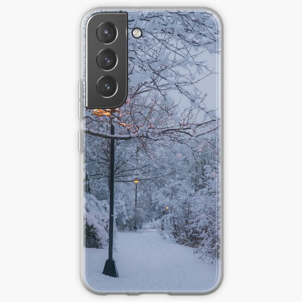 Quiet Winter Lights Samsung Galaxy Soft Case