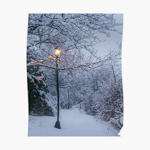 Quiet Winter Lights Poster