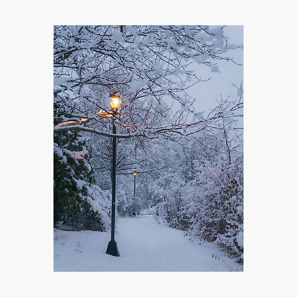 Quiet Winter Lights Photographic Print