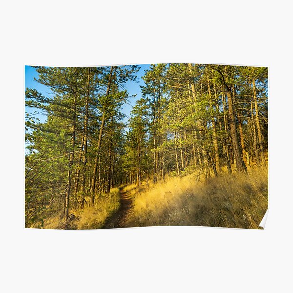 Glenmore Highlands Trail Poster