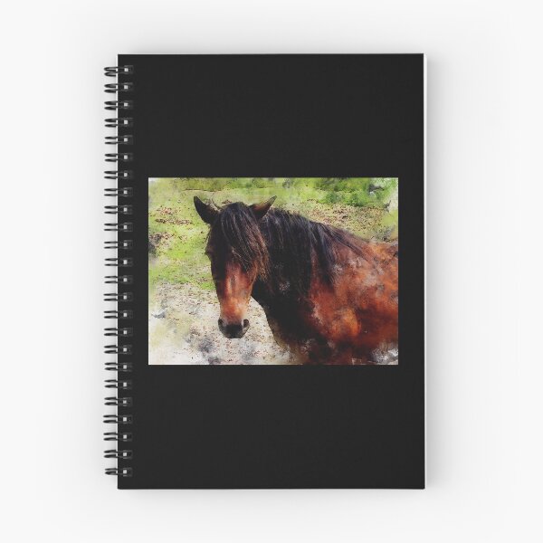 Item preview, Lundy Pony Pencil Watercolor Digital Print designed and sold by drwigglebutts.