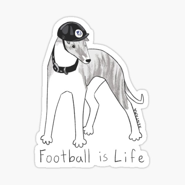 Aperçu de l'œuvre Le foot c'est la vie créée et vendue par Xentama.
