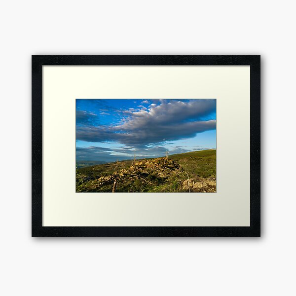 Not So Lone Tree Sunset Framed Art Print