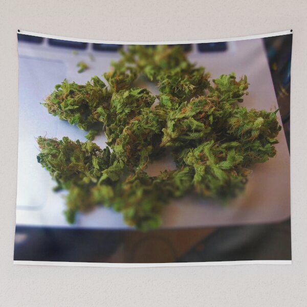 Item preview, Critical  Purple Cannabis on a Keyboard designed and sold by foggynotion.