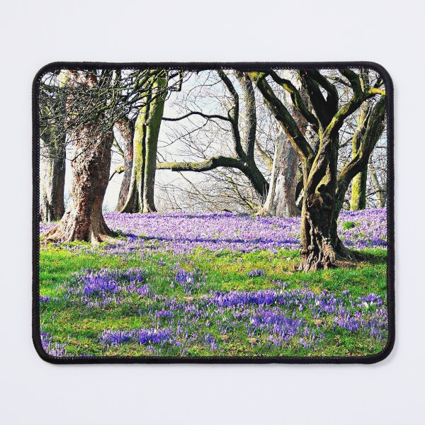 Item preview, Mowbray Park, Sunderland designed and sold by MoragBates.