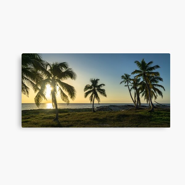 Mexico Palm Tree Sunrise Canvas Print