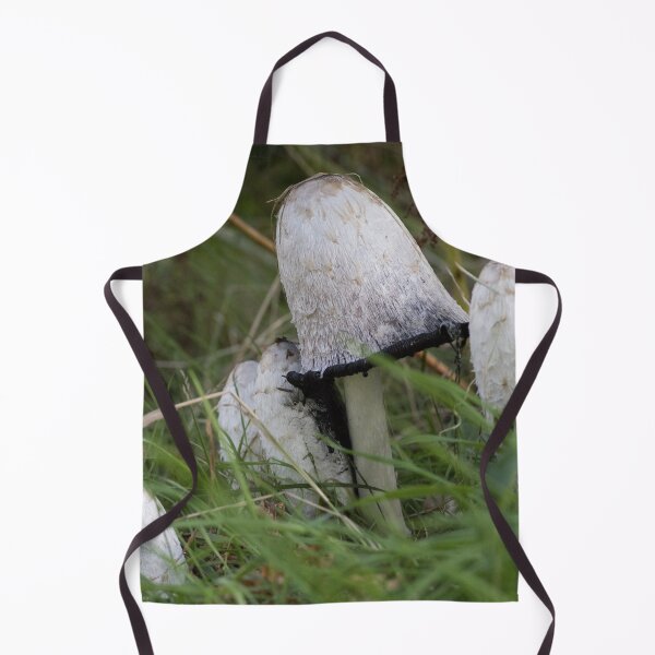 Item preview, Coprinus comatus, Shaggy inkcap designed and sold by chanonry.