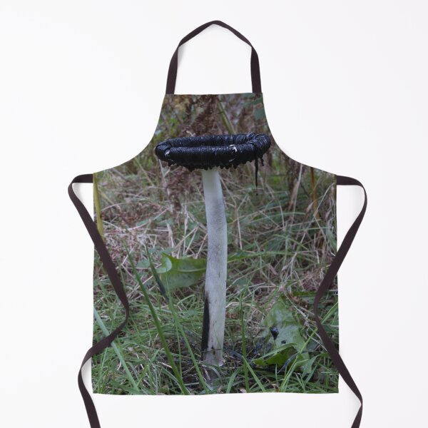 Item preview, Coprinus comatus shaggy inkcap designed and sold by chanonry.