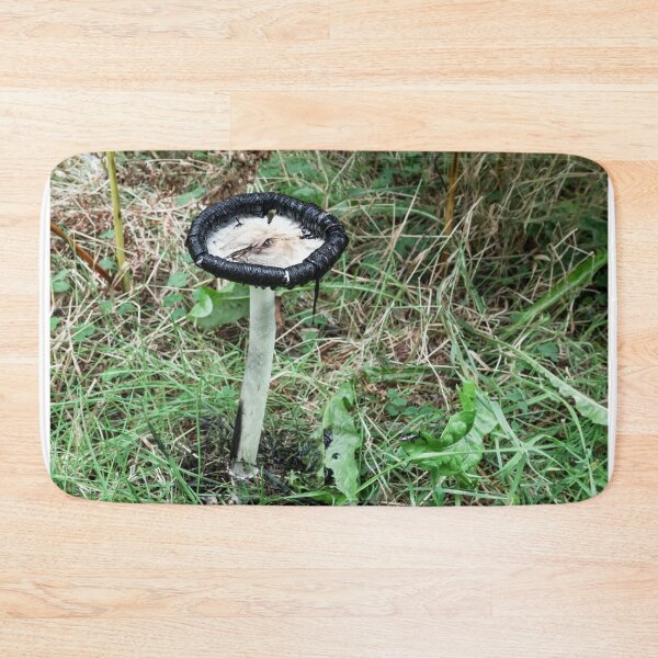 Item preview, Copy of Coprinus comatus shaggy inkcap designed and sold by chanonry.