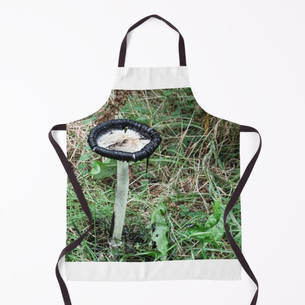 Item preview, Copy of Coprinus comatus shaggy inkcap designed and sold by chanonry.