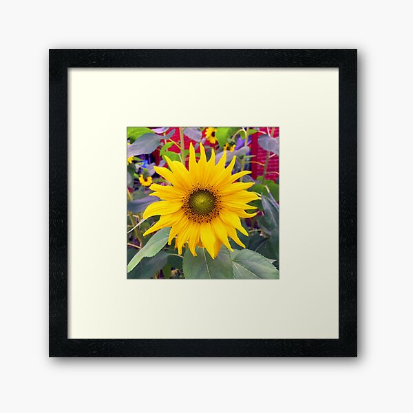 Item preview, TOURNESOL designed and sold by Daniel Sorine.