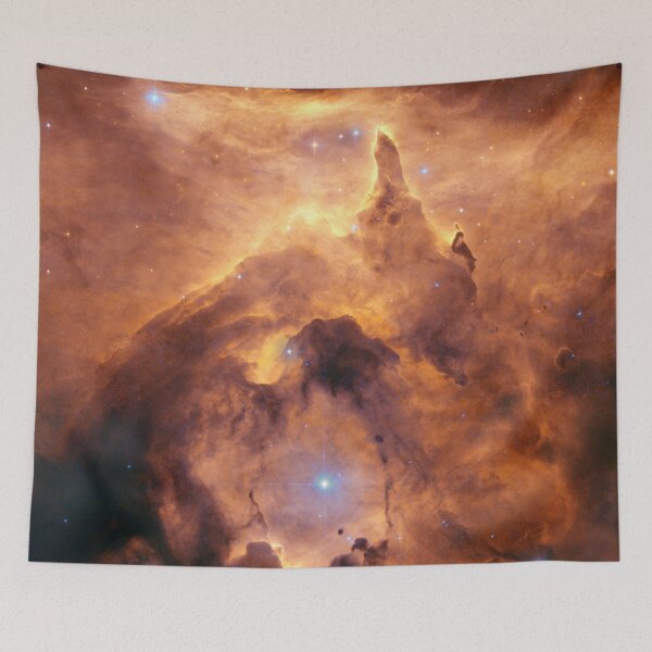 Item preview, Lobster Nebula HD (no text only pic) designed and sold by Pablo Carlos Budassi.