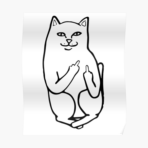 rip and dip cat middle finger