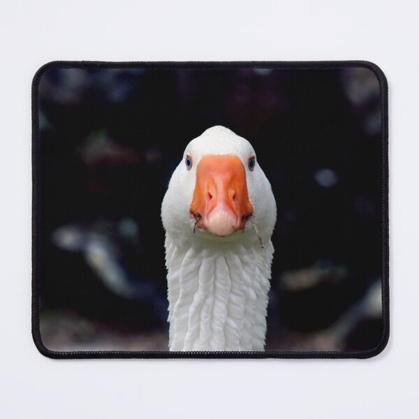 Item preview, © Domestic white goose designed and sold by GeoPipics.