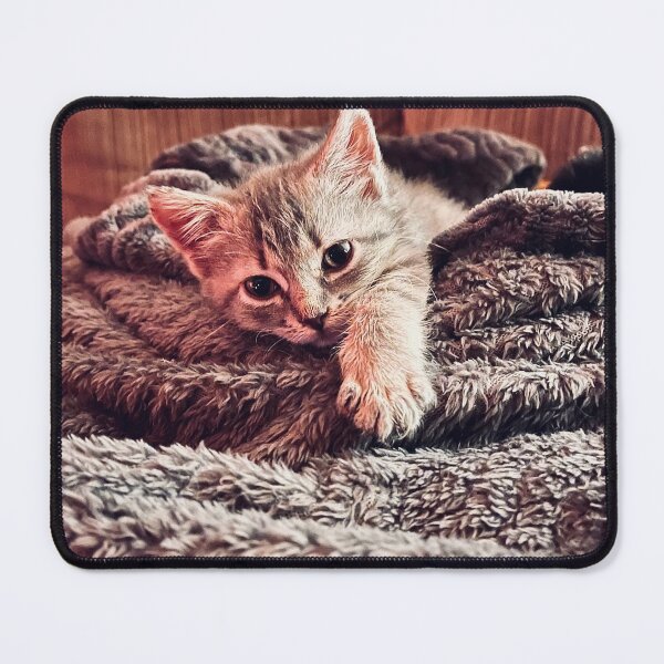 Item preview, Kitten snuggles designed and sold by aadventures.