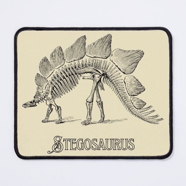 Item preview, Vintage Stegosaurus Dinosaur Skeleton designed and sold by goodguy53.