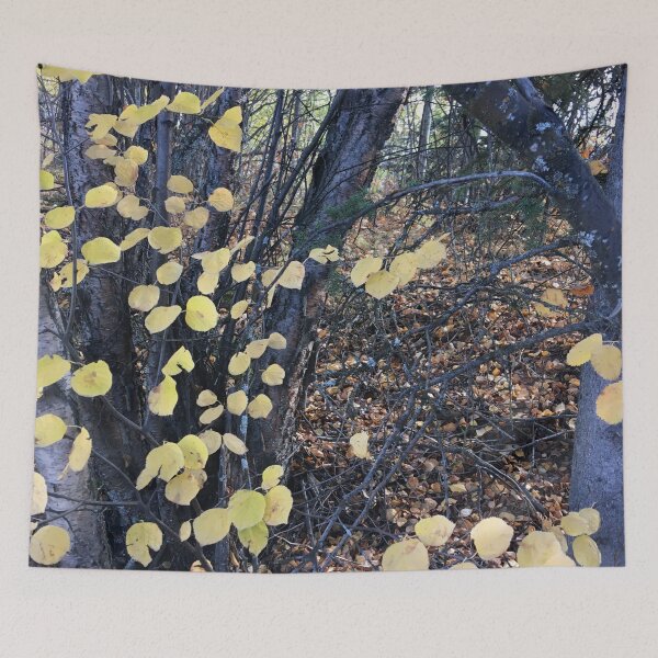 Item preview, Autumn Trees designed and sold by Ric1926.