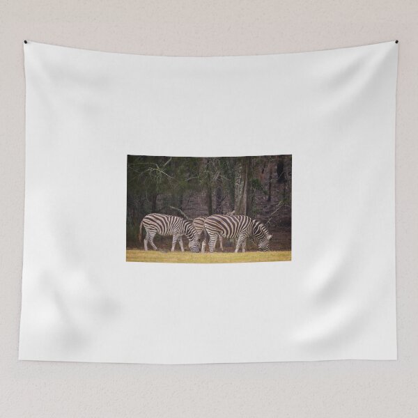 Item preview, Zebras  designed and sold by D-GaP.