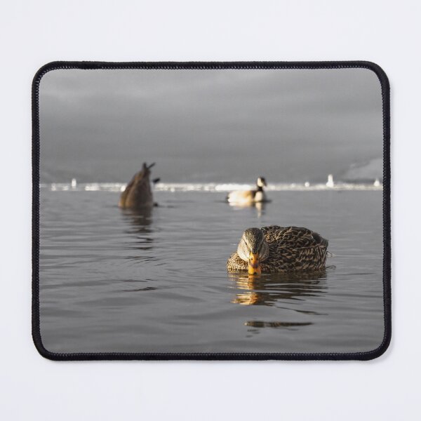 He’s Doing it Again, Isn’t He? Mouse Pad
