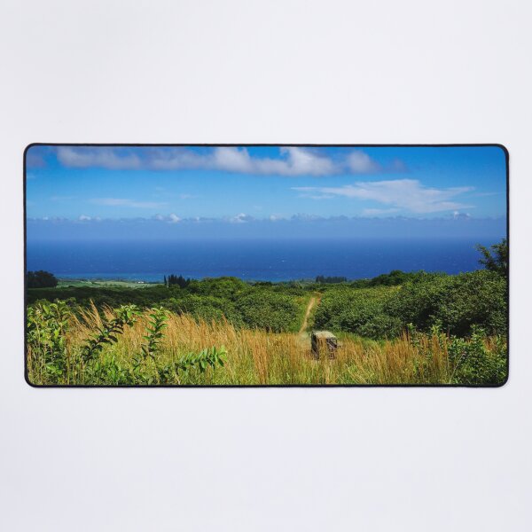 Trail to the Ocean Desk Mat