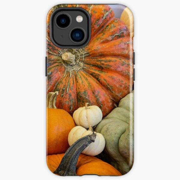 Pumpkins and assorted squash iPhone Tough Case