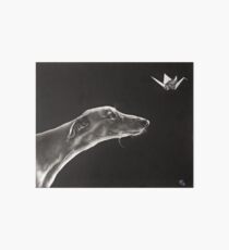 Fascination Art Board