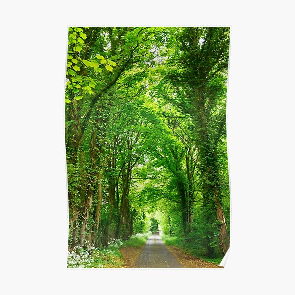 Tunnel of Trees Poster