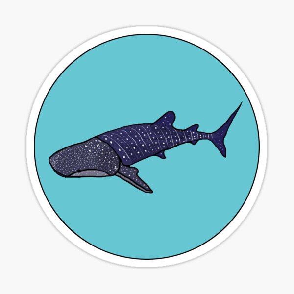 ENDANGERED- Whale Shark Sticker