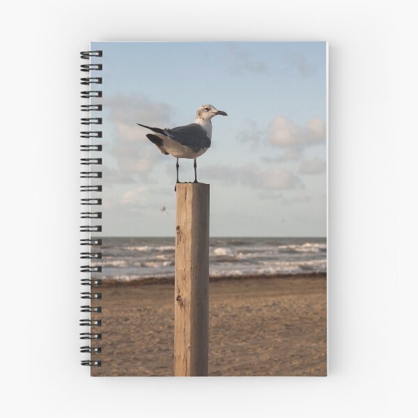 Item preview, Seagull on beach designed and sold by Storage.