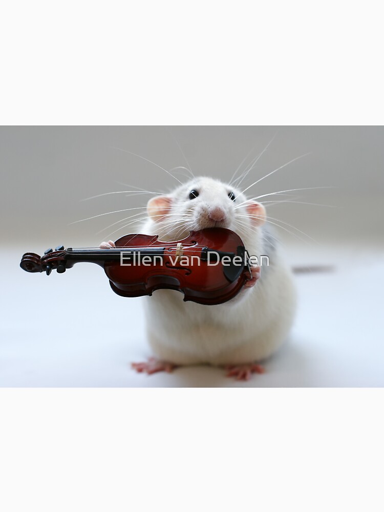 My new violin. by Ellen