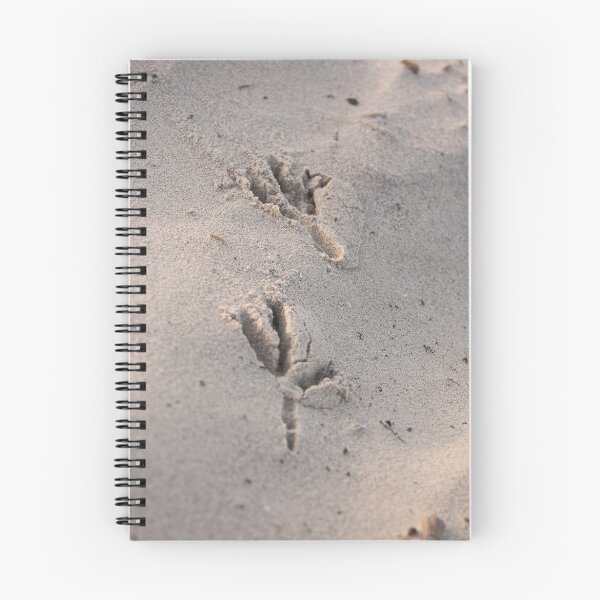 Item preview, Bird footsteps in the sand designed and sold by Storage.