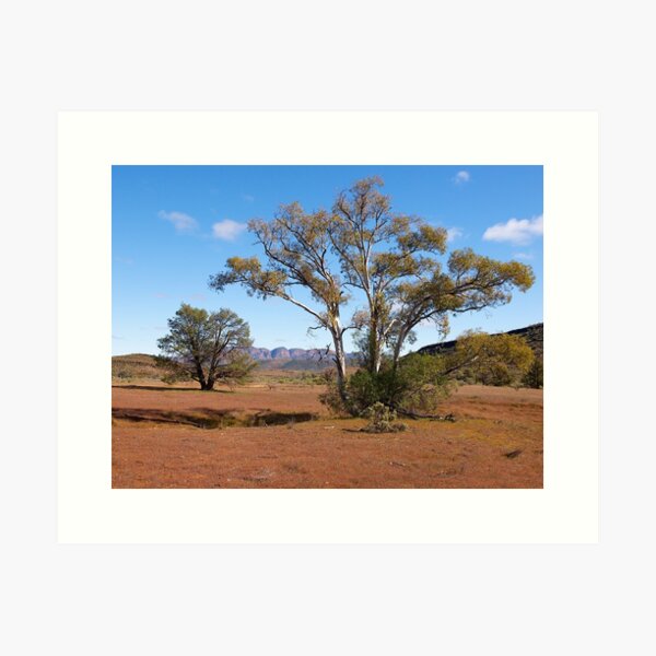 Item preview, Flinders Ranges,  near Wilpena Pound, South Australia. (Study#5) designed and sold by johnrf.