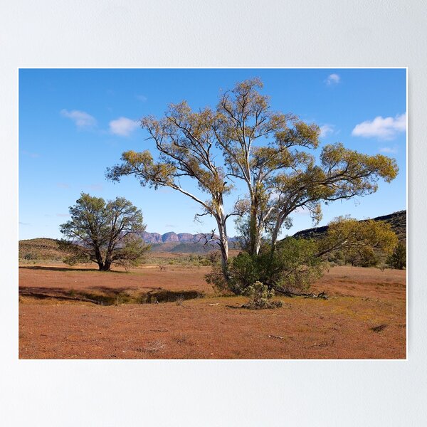 Item preview, Flinders Ranges,  near Wilpena Pound, South Australia. (Study#5) designed and sold by johnrf.